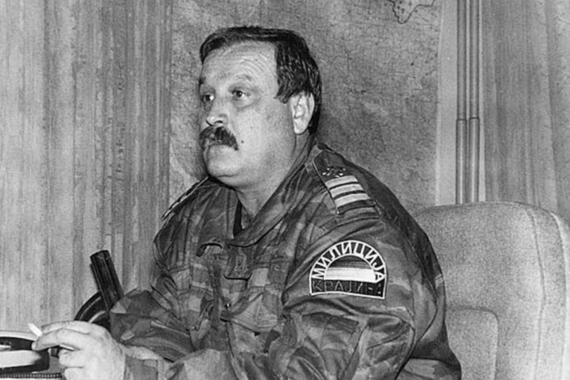 Tribunal: Martić, dokaz 00144. Slavko Degoricija je saopštio da je akcija pokrenuta kada su „Martićevi teroristi“ došli iz Knina da nasilnim putem sruše rukovodstvo radne organizacije „Plitvice“. Uhapšeno je 29 srpskih policajaca i dva visoka funkcionera SDS/a.<span class=